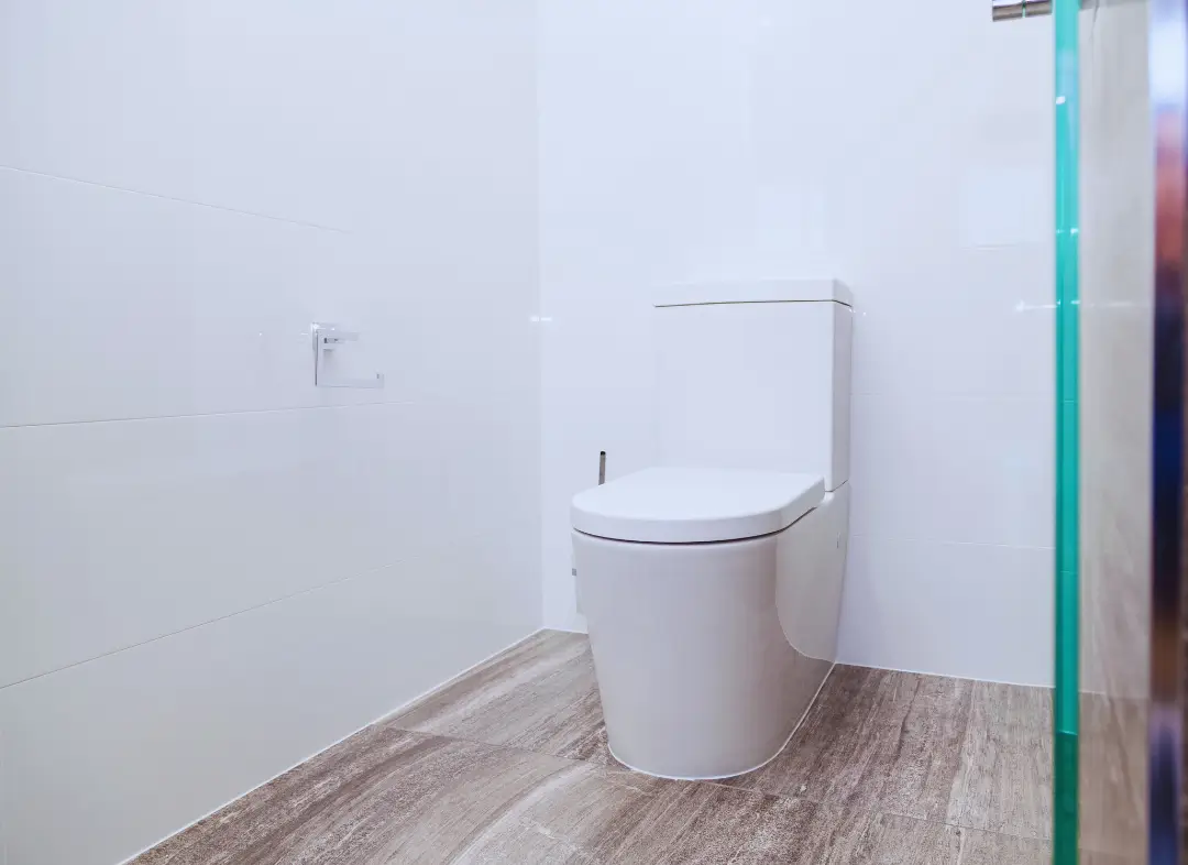 Remplacement de wc Biot